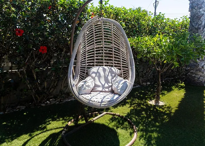 Maestro Ii - Perivolia