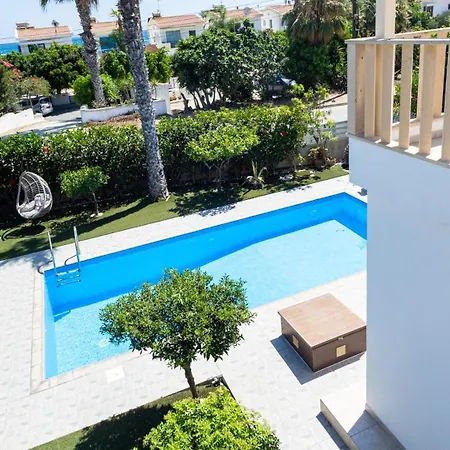 Maestro Ii - فيلة