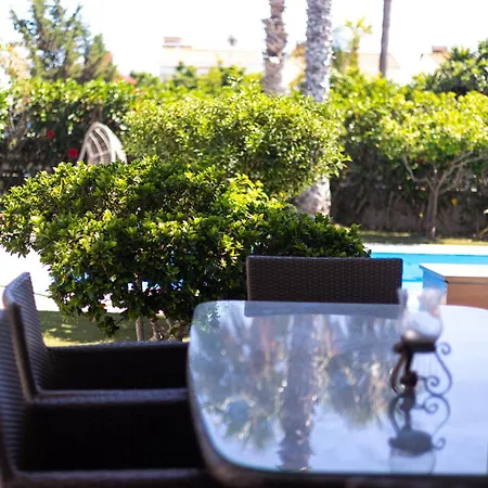 Maestro Ii - بريفوليا